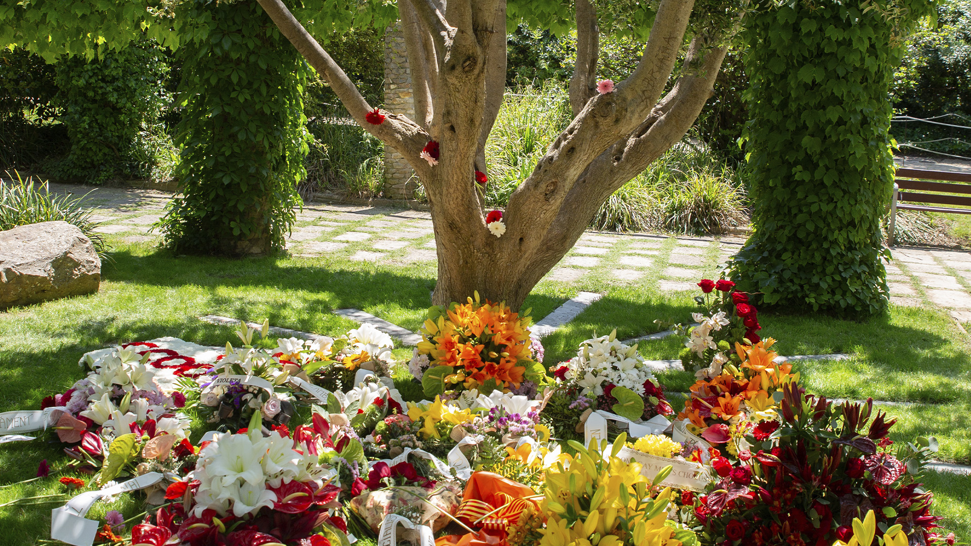 The memorial tree surrounded by floral tributes